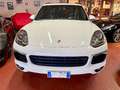 Porsche Cayenne 3.0 Platinum Edition tiptronic Wit - thumbnail 2