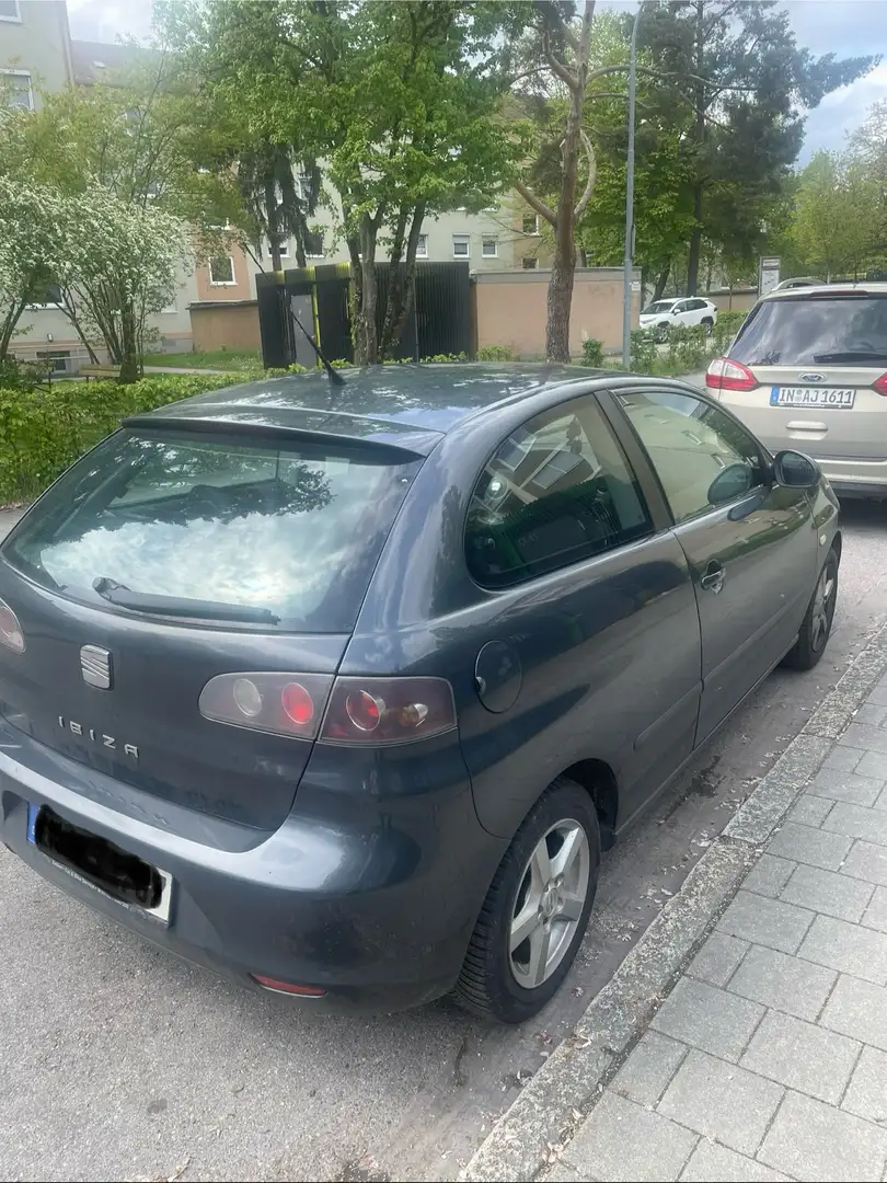 SEAT Ibiza Grau - 2