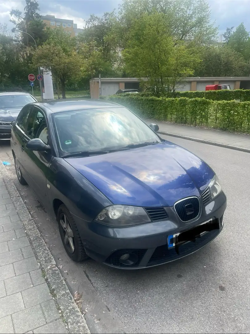 SEAT Ibiza Grau - 1
