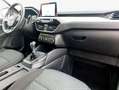 Ford Kuga 1.5 EcoBoost COOL&CONNECT *AHK* Schwarz - thumbnail 10