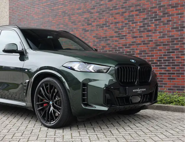 BMW X5 view 18
