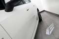 BMW 218 M Sport HUD ACC H&K 360° AHK Weiß - thumbnail 10