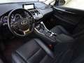 Lexus NX 300 Hybrid 4WD Luxury siva - thumbnail 10