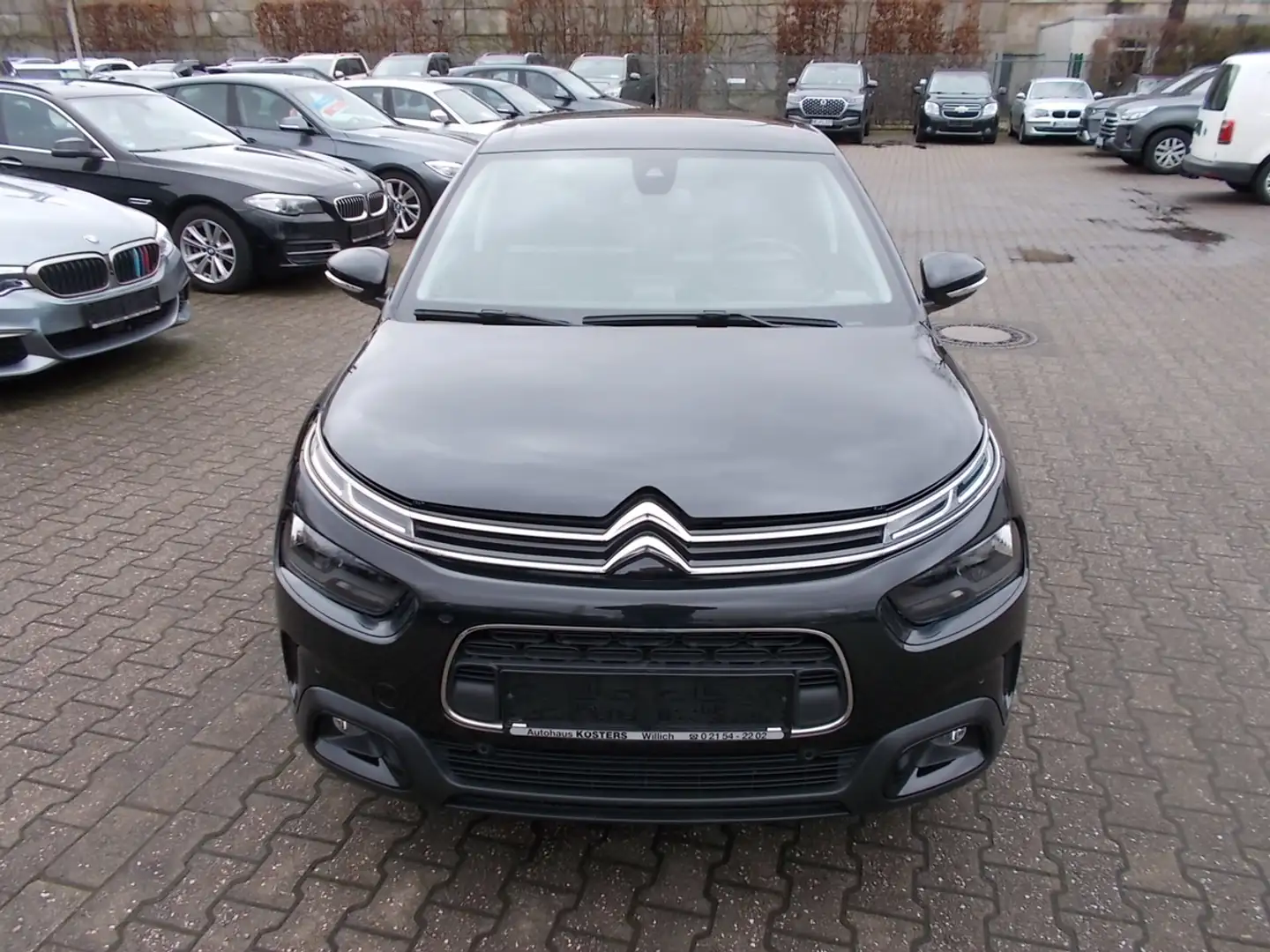Citroen C4 Cactus Shine, PanoDach, Navi, Sitzheizung Schwarz - 2