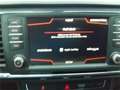 SEAT Ateca Style 1,6 TDI 8fach Bereifung Grau - thumbnail 22