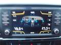 SEAT Ateca Style 1,6 TDI 8fach Bereifung Grau - thumbnail 20