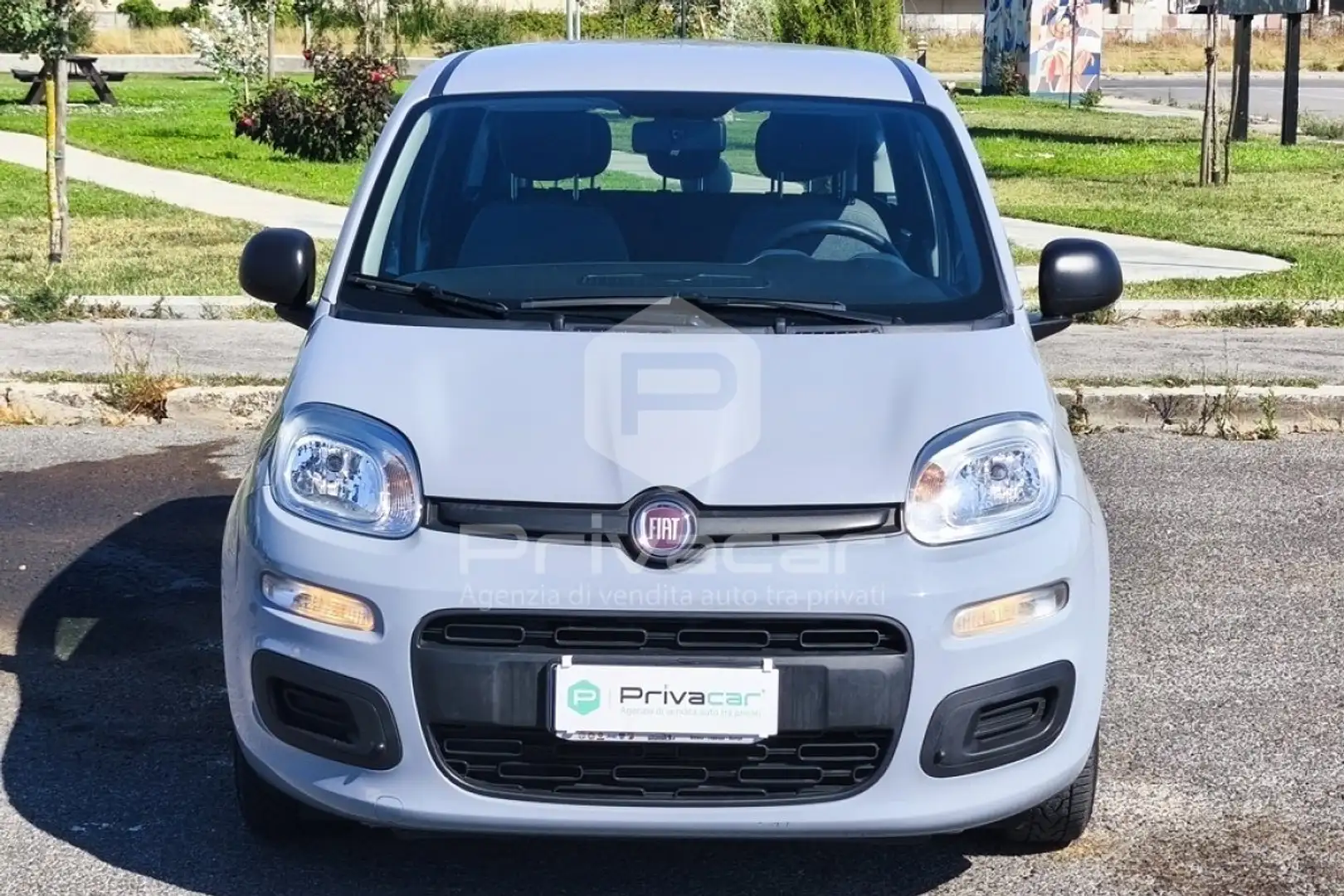 Fiat Panda Panda 1.0 FireFly S&S Hybrid Argent - 2