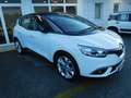 Renault Scenic Scénic Blue dCi 120 CV Sport Edition2 Biały - thumbnail 3
