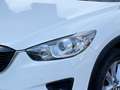 Mazda CX-5 I - CX-5 2.2 Exceed 4wd 150cv 6at Blanco - thumbnail 4