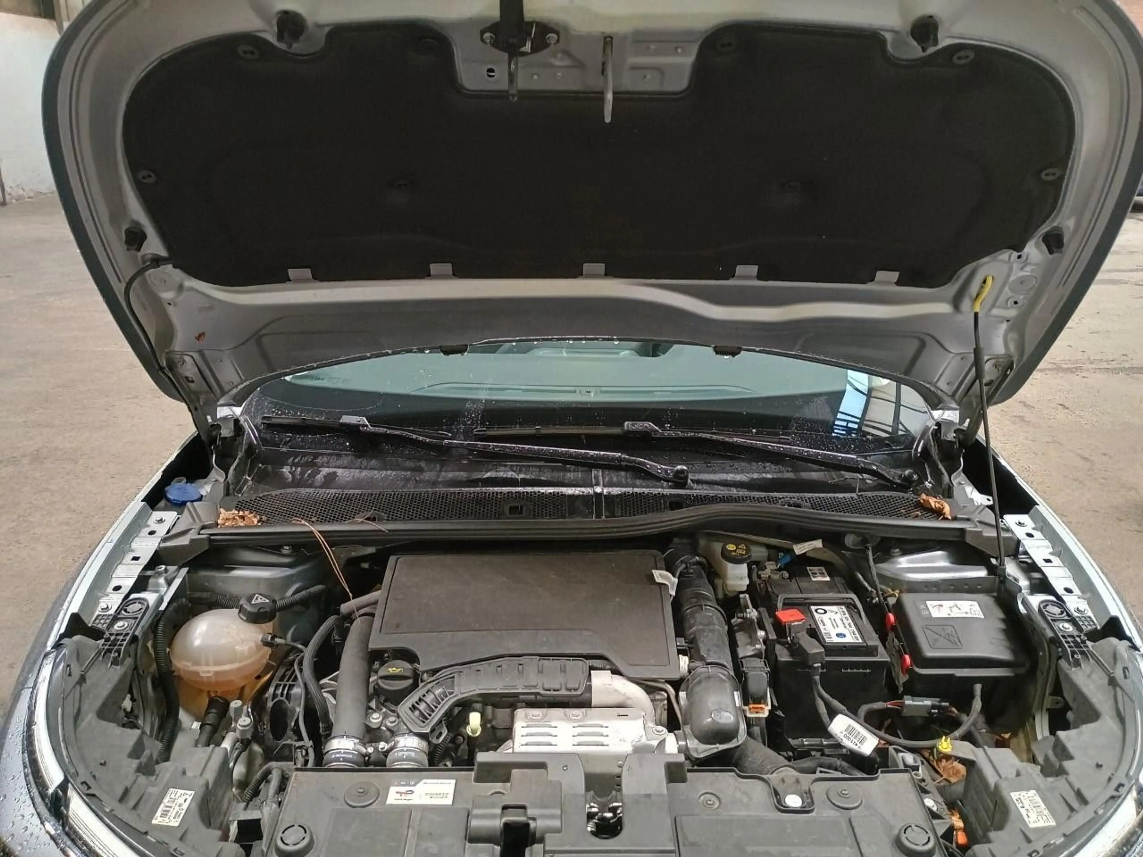 Citroen C4 X Autom. PureTech 130 PLUS — photo 10