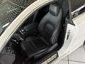 Mercedes-Benz E 500 Coupé AMG Garantie-07 2027 PANO HK 360°KAM Weiß - thumbnail 10
