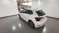 Volkswagen Polo Polo 1.0 evo Edition Plus 80cv Grigio - thumbnail 15
