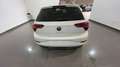 Volkswagen Polo Polo 1.0 evo Edition Plus 80cv Grigio - thumbnail 17
