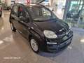 Fiat Panda 1.3 mjt 16v OK NEOPATENTATI Nero - thumbnail 3