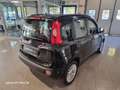 Fiat Panda 1.3 mjt 16v OK NEOPATENTATI Nero - thumbnail 14