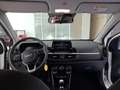 Kia Picanto Picanto 1.0 12V 5 porte AMT 20th Anniversary Edit Wit - thumbnail 13