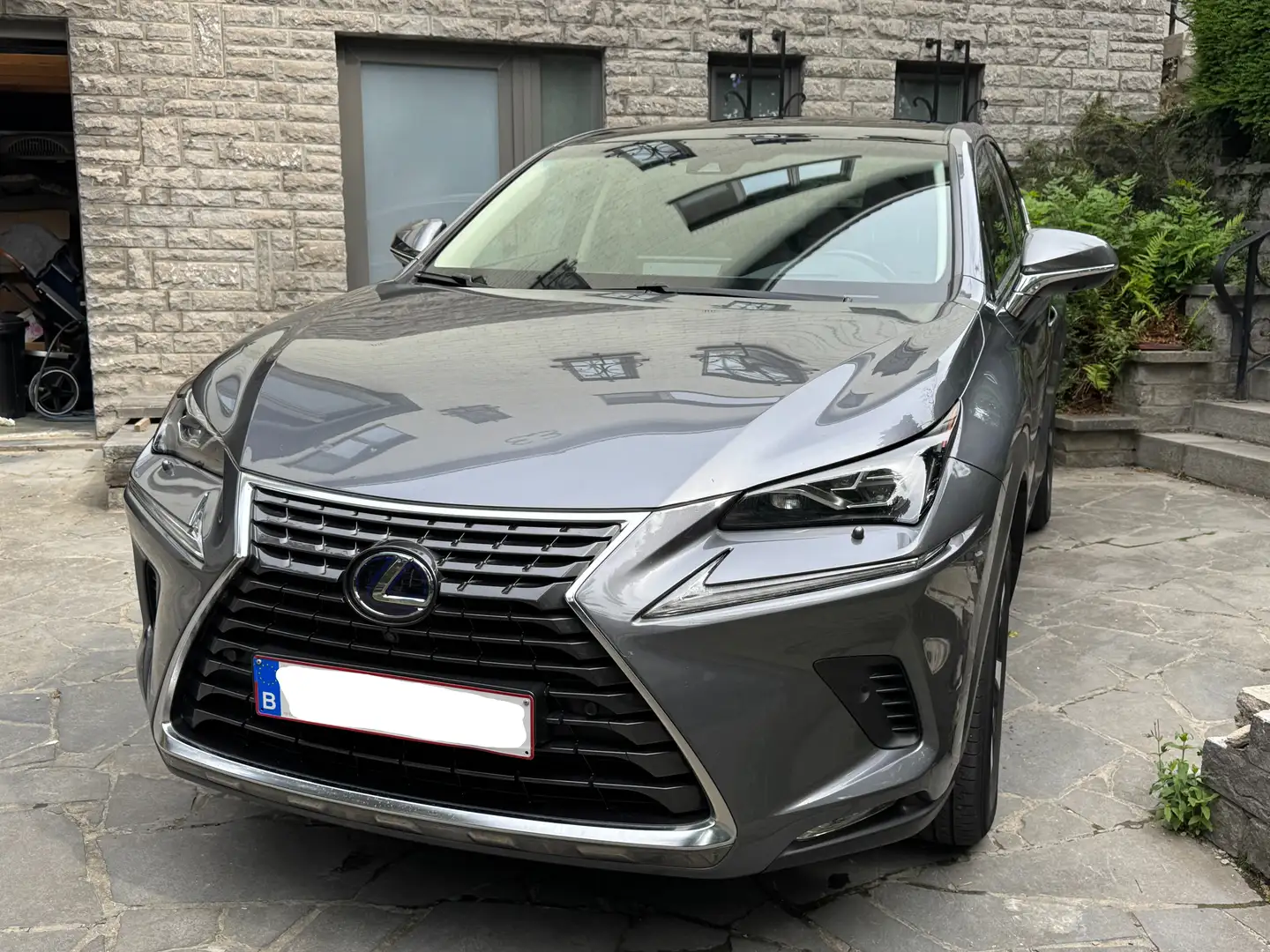 Lexus NX 300h NX 300h 2.5i AWD Privilege Line E-CVT Grijs - 2