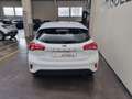 Ford Focus 1.5 EcoBlue 120 CV automatico 5p. Business Co-P - thumbnail 5