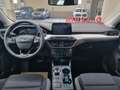 Ford Focus 1.5 EcoBlue 120 CV automatico 5p. Business Co-P - thumbnail 8