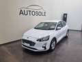 Ford Focus 1.5 EcoBlue 120 CV automatico 5p. Business Co-P - thumbnail 3