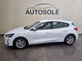 Ford Focus 1.5 EcoBlue 120 CV automatico 5p. Business Co-P - thumbnail 1