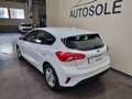 Ford Focus 1.5 EcoBlue 120 CV automatico 5p. Business Co-P - thumbnail 4