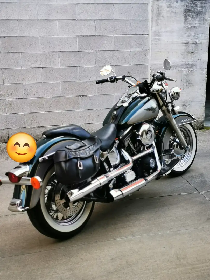 Harley-Davidson Heritage Softail special Verde - 2