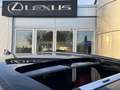 Lexus NX 450h+ AWD F SPORT Line NL-AUTO SCHUIFDAK STOELVENT MEMOR Schwarz - thumbnail 14