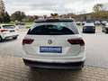 Volkswagen Tiguan 2.0 TDI 4-Motion Highline *AHV,LED,SITZHEIZUNG* Blanc - thumbnail 5