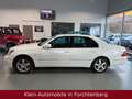 Lexus LS 430 LS430 V8 Aut. Leder Navi Luft SitzKlima Temp AHK Weiß - thumbnail 4
