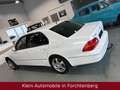 Lexus LS 430 LS430 V8 Aut. Leder Navi Luft SitzKlima Temp AHK Weiß - thumbnail 5