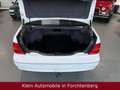 Lexus LS 430 LS430 V8 Aut. Leder Navi Luft SitzKlima Temp AHK Weiß - thumbnail 14
