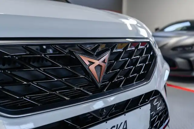 Cupra Ateca view 6