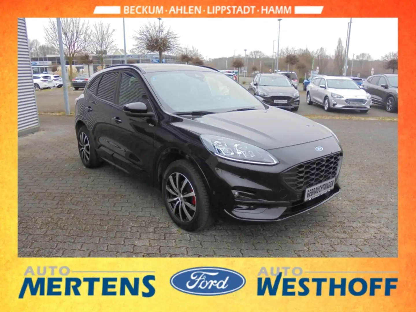 Ford Kuga ST-Line X 2.5 PHEV Panodach Navi Kamera Schwarz - 2