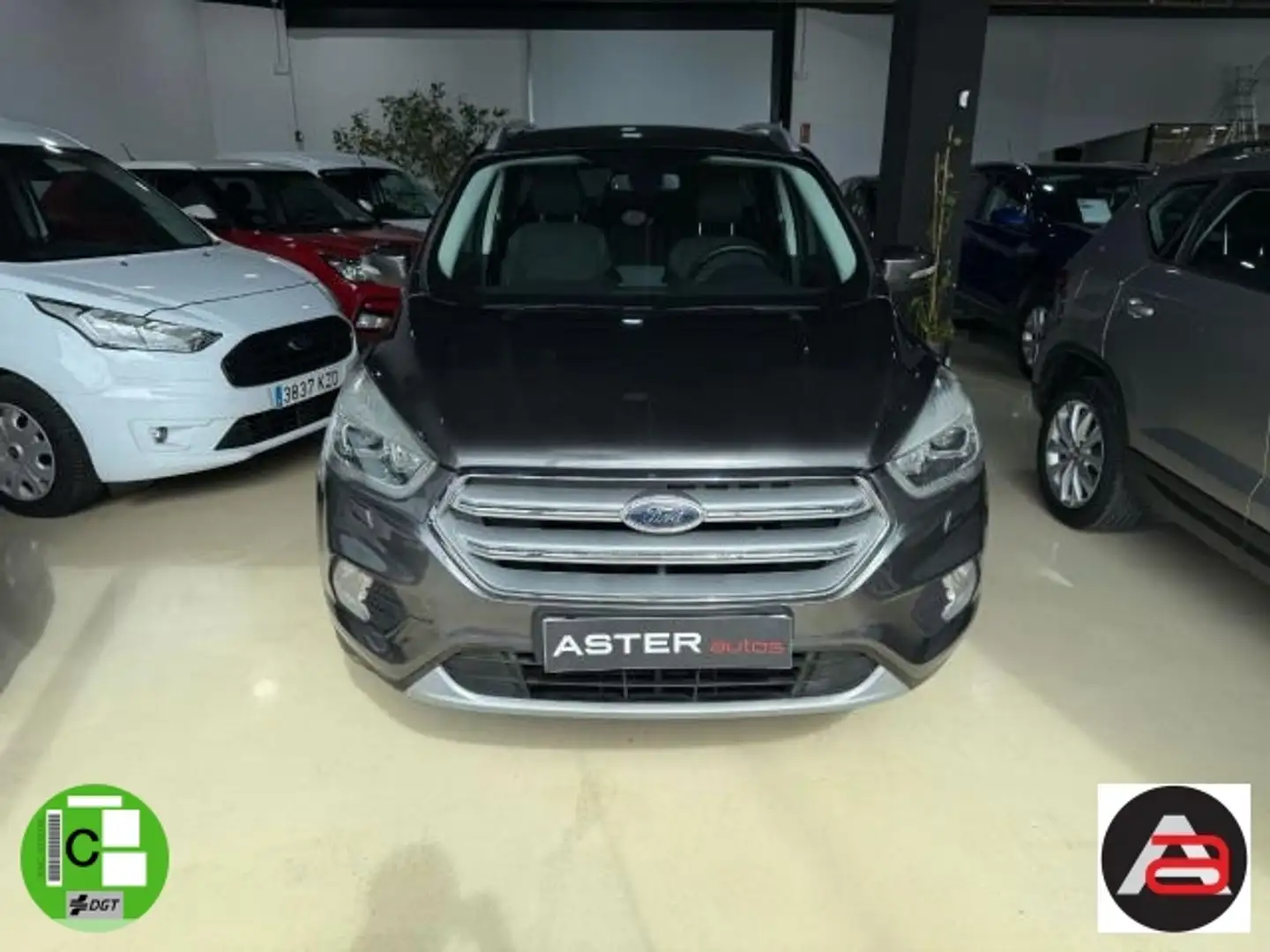 Ford Kuga 2.0TDCi Auto S&S Titanium 4x2 150 Gris - 2