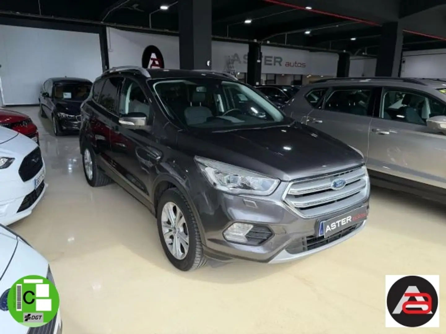 Ford Kuga 2.0TDCi Auto S&S Titanium 4x2 150 Gris - 1
