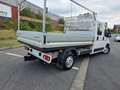 Peugeot Boxer double cabine 7 place pret immatriculer - thumbnail 3