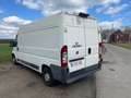 Fiat Ducato 2.3 JTD Multijet L2-H2 Blanc - thumbnail 21