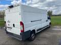 Fiat Ducato 2.3 JTD Multijet L2-H2 White - thumbnail 15