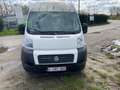 Fiat Ducato 2.3 JTD Multijet L2-H2 Wit - thumbnail 19