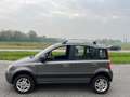 Fiat Panda 1.2 4x4 Grigio - thumbnail 6