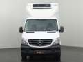Mercedes-Benz Sprinter 316CDI Koel/Vries Bakwagen 12|220V | Airco | Zijde Blanc - thumbnail 10