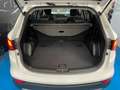 Hyundai SANTA FE 2.2CRDi 4x2 Tecno 7s Blanc - thumbnail 28