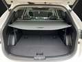 Hyundai SANTA FE 2.2CRDi 4x2 Tecno 7s Blanc - thumbnail 11