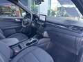 Ford Kuga 2.5 Duratec 225ch PHEV ST-Line BVA Blauw - thumbnail 15