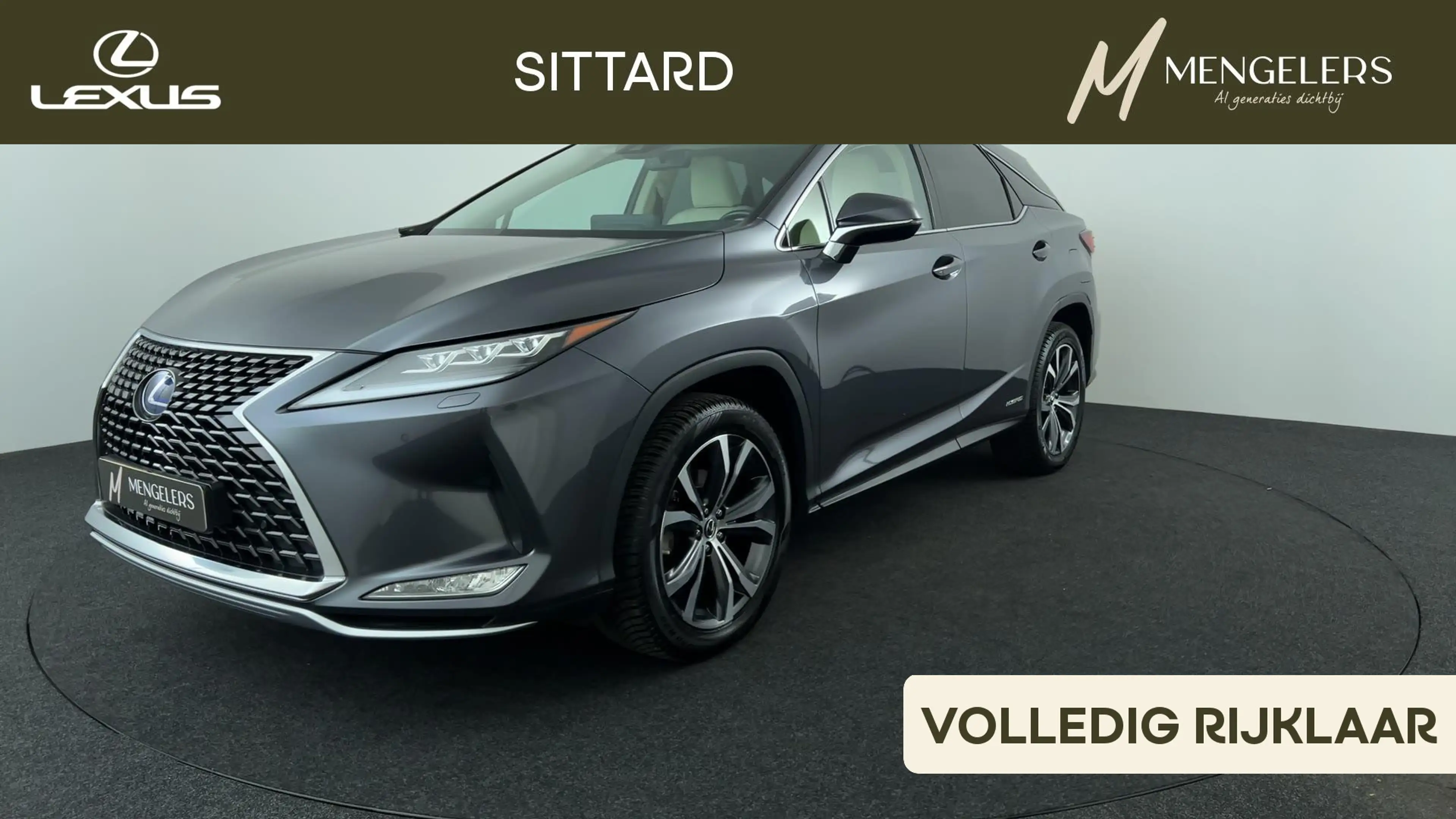 Lexus RX 450h AWD Luxury Line Schuif/kantel dak