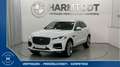 Jaguar F-Pace SE D200 AWD Weiß - thumbnail 1
