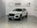 Jaguar F-Pace SE D200 AWD Weiß - thumbnail 2