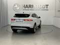 Jaguar F-Pace SE D200 AWD Weiß - thumbnail 6