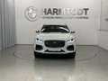 Jaguar F-Pace SE D200 AWD Weiß - thumbnail 7